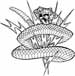 Animal Collection